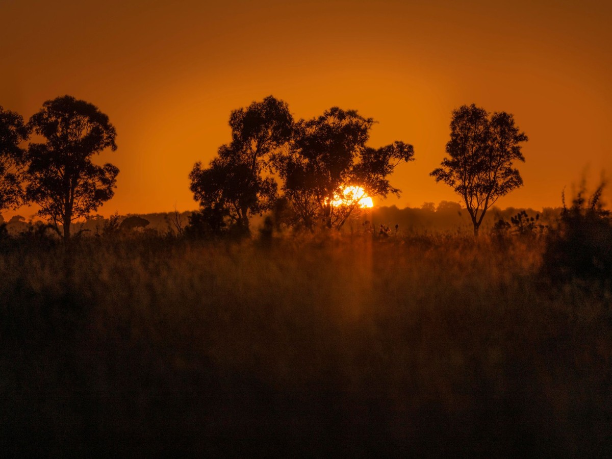 [Land for Sale] Minton Place Estate, Beveridge OpenLot